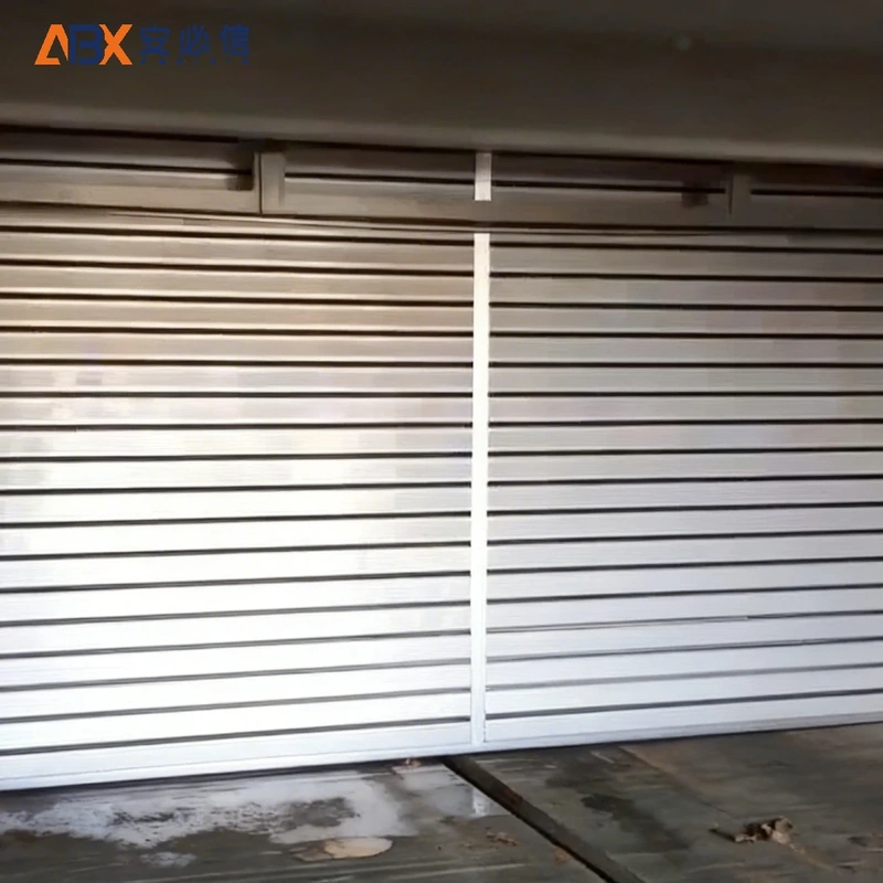 Steel Sectional Doors for an Auto Parts Plant